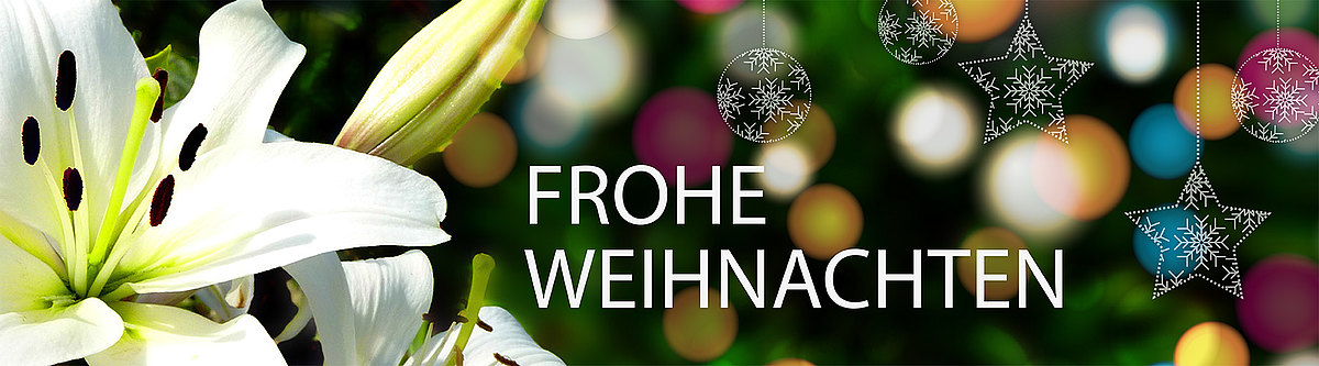 Header_Weihnachten_Deutsche_Version.jpg  